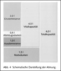 Totraum