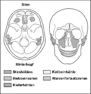 Nebenhöhlen